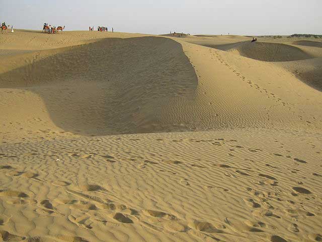 Desert Safari Desert Safari