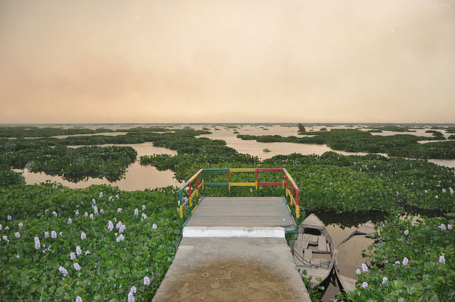 Harike Wetland Harike Wetland